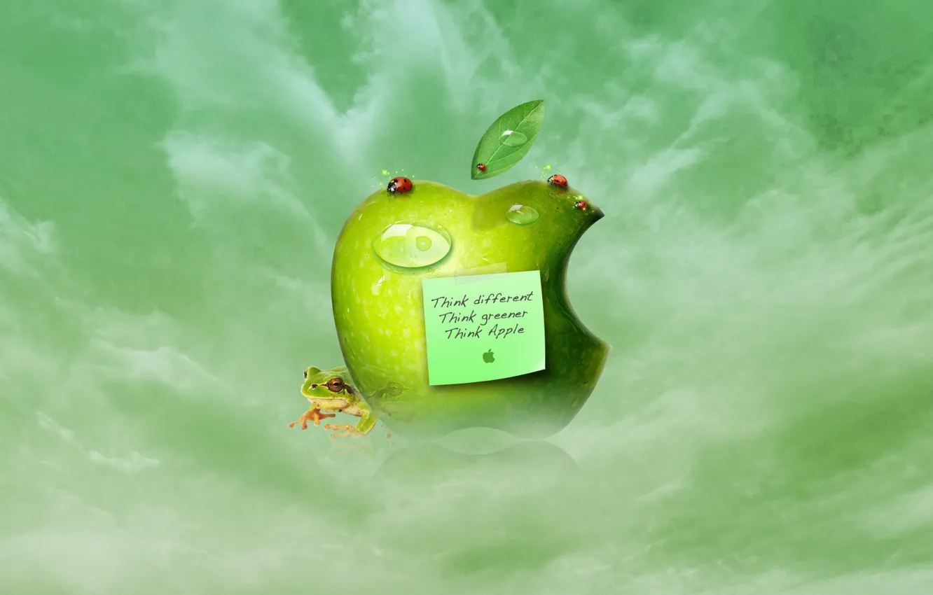 Photo wallpaper apple, frog, Apple, leaf