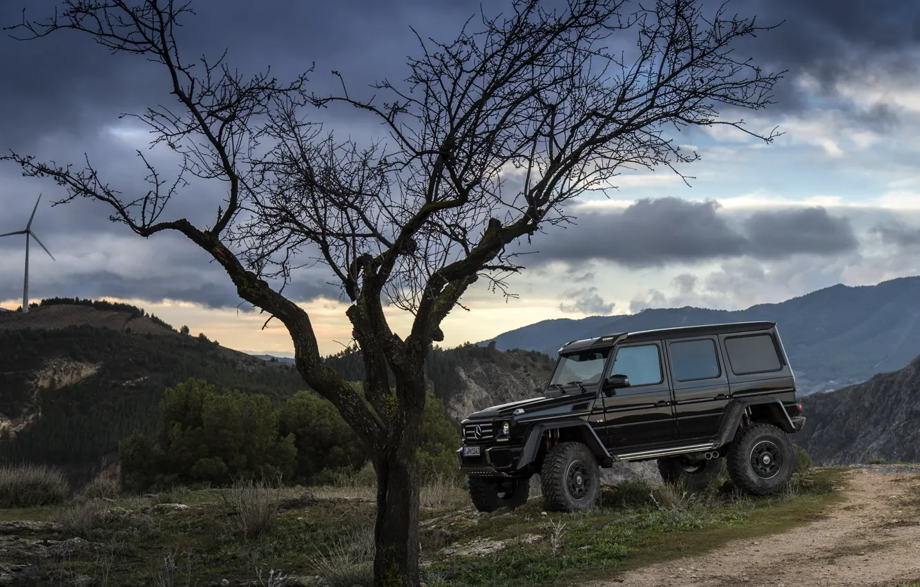 Photo wallpaper Concept, tree, black, Mercedes-Benz, the evening, Mercedes, BRABUS, 4x4