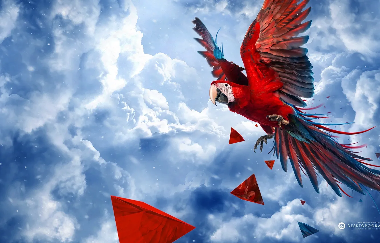 Photo wallpaper clouds, bird, parrot, desktopography