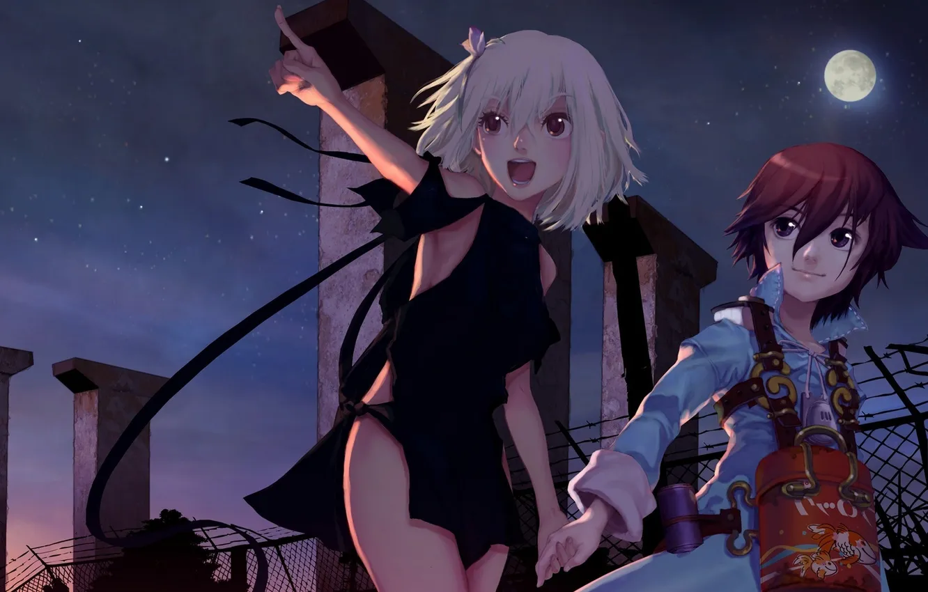 Photo wallpaper mesh, the moon, two, fragile, anime girl