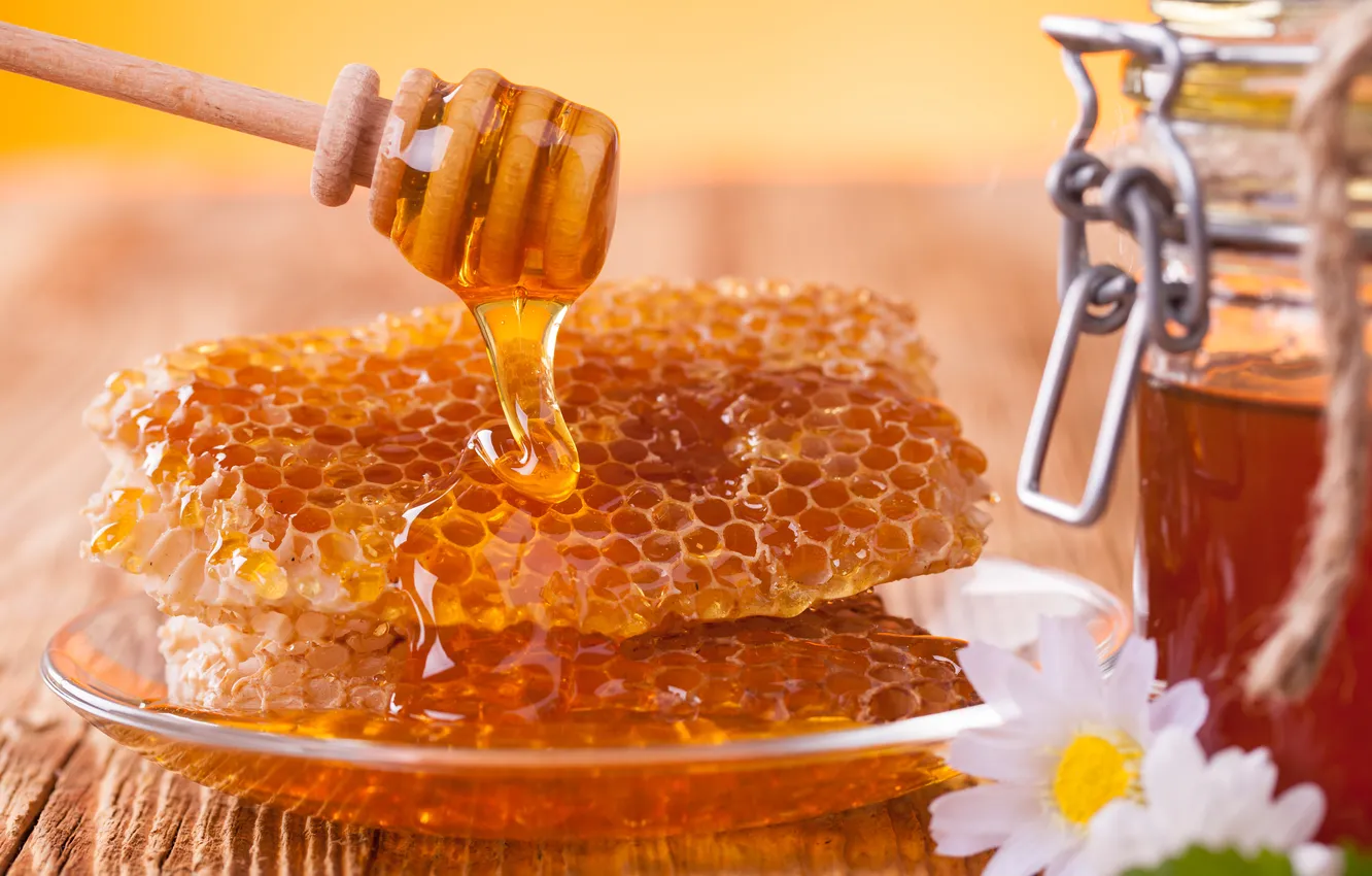 Photo wallpaper cell, honey, plate, spoon