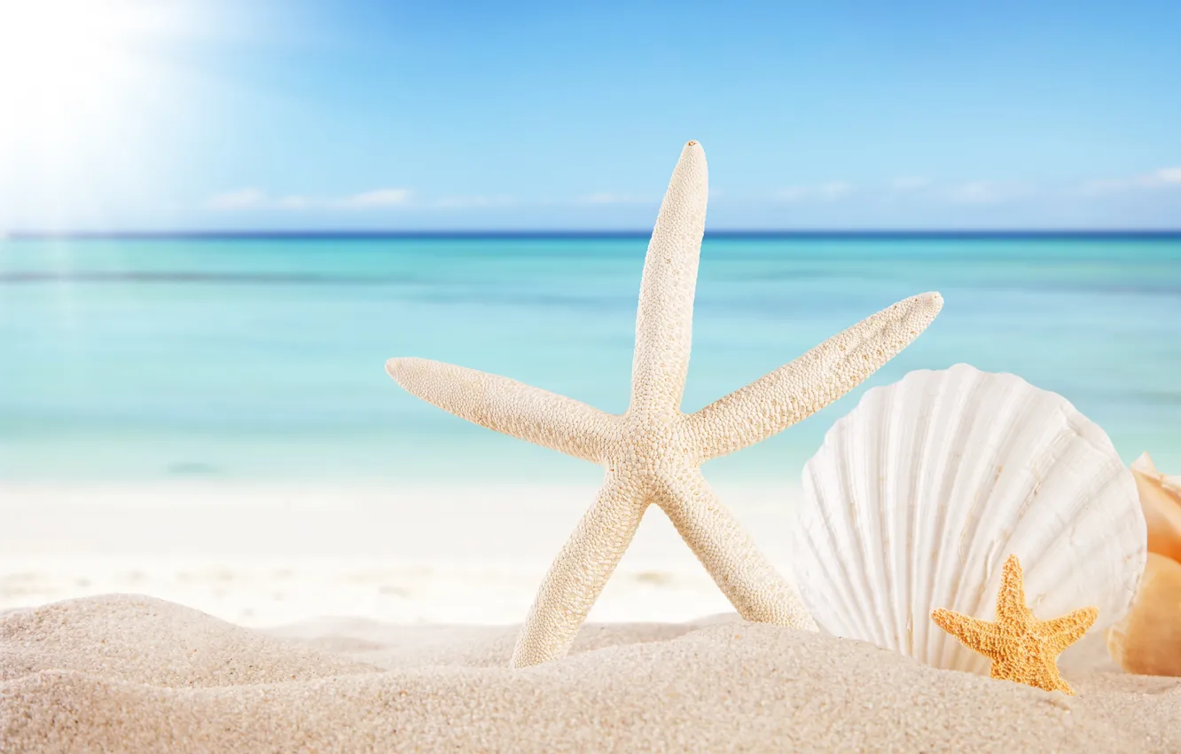 Photo wallpaper sand, sea, beach, the sun, stars, shell, summer, sunshine
