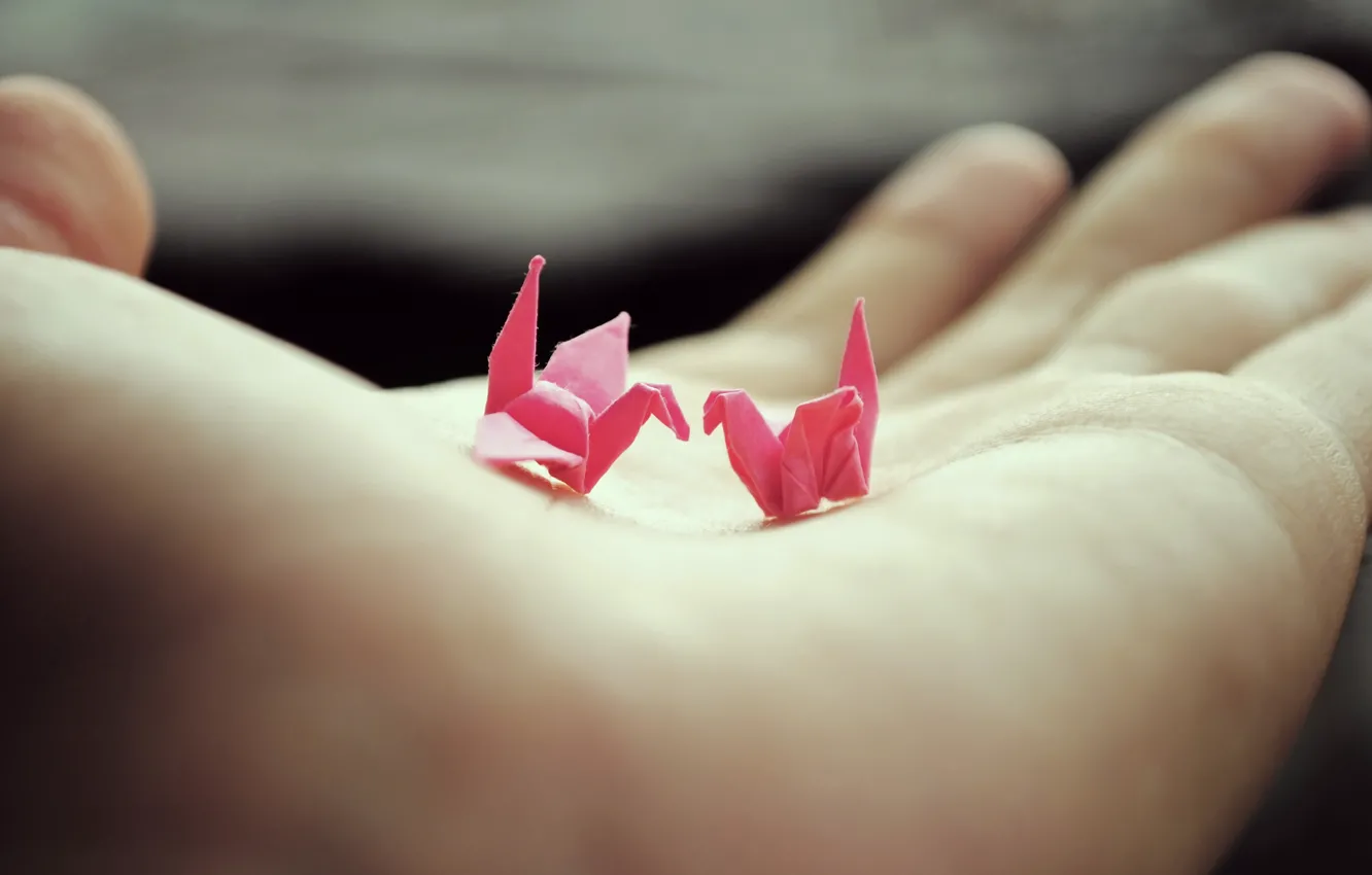 Photo wallpaper hand, palm, origami, cranes
