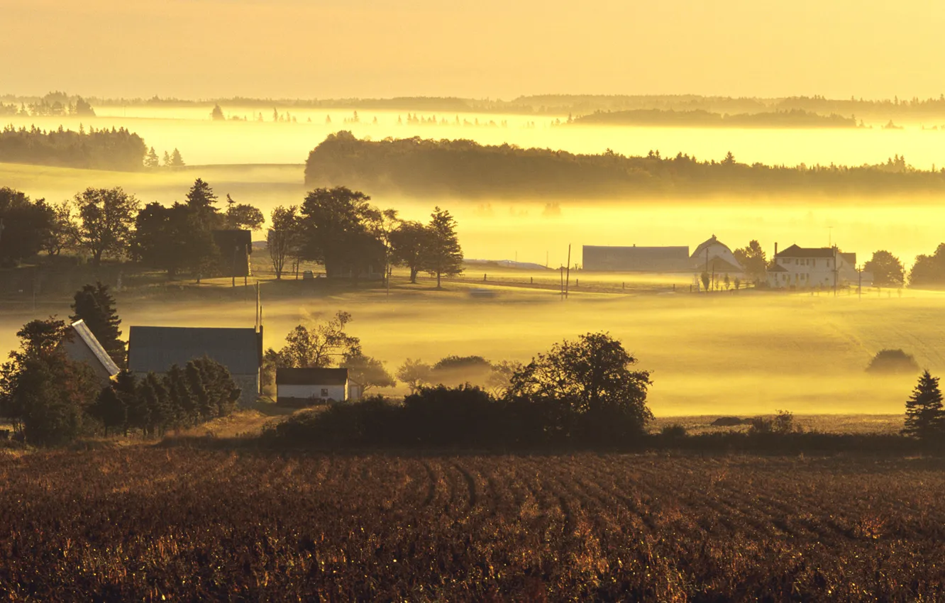Photo wallpaper fog, dawn, morning, farm, mist, farms in yellow morning