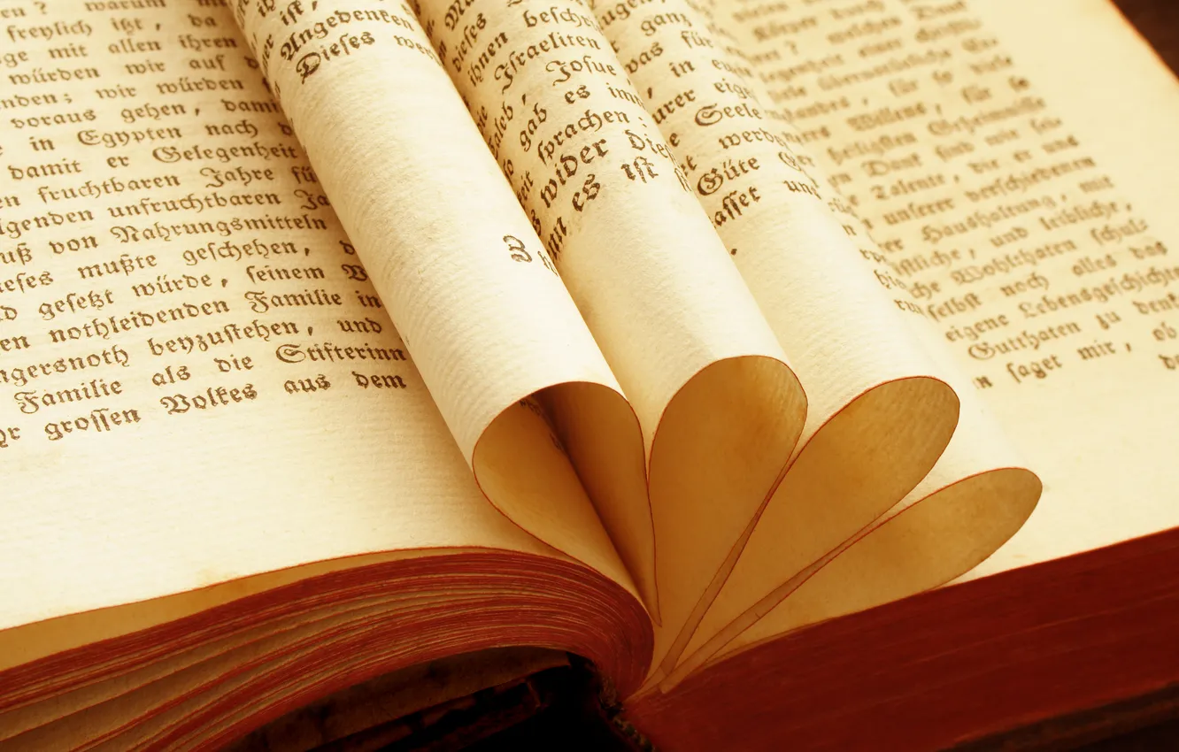 Photo wallpaper macro, book, macro, book