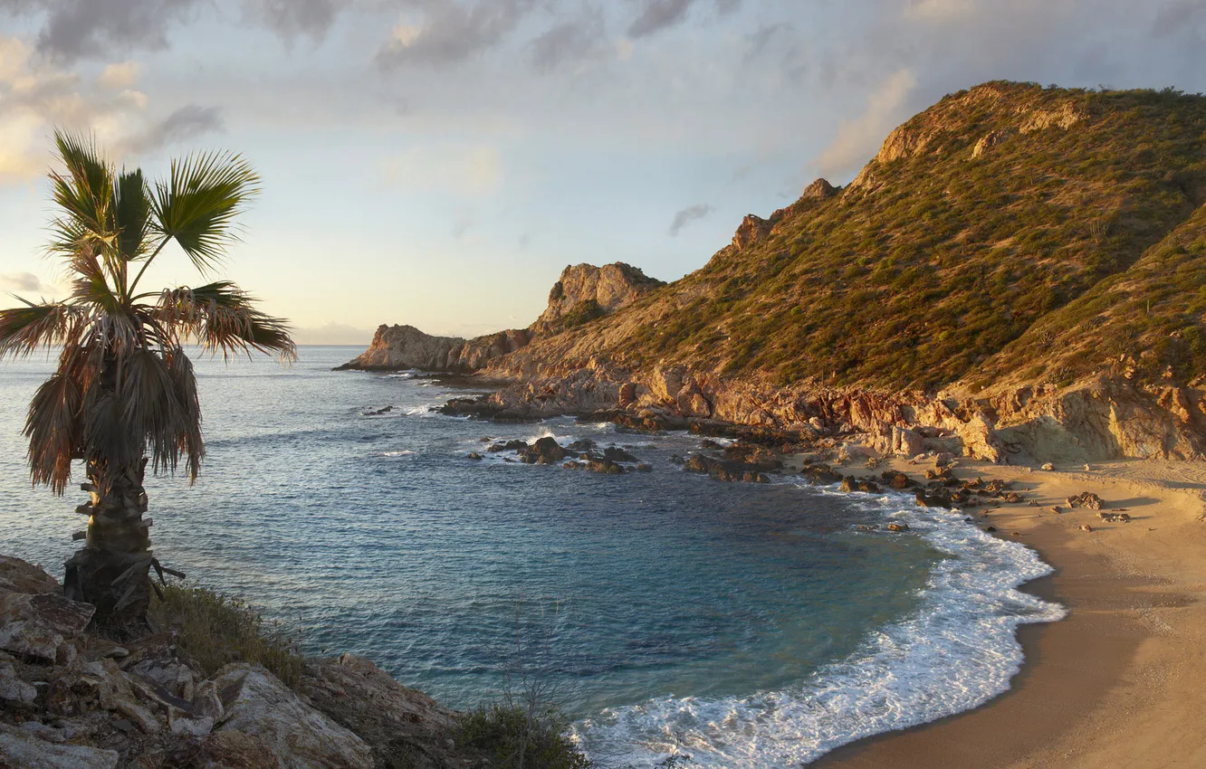 Photo wallpaper clouds, landscape, mountains, nature, palm trees, the ocean, shore, coast