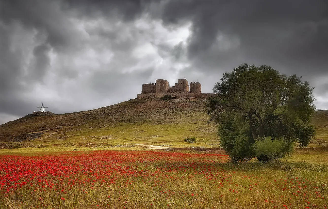 Photo wallpaper summer, nature, Castle of Consuegra