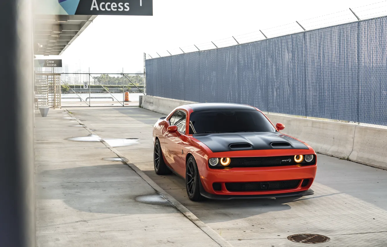 Photo wallpaper dodge, challenger, fence, srt hellcat