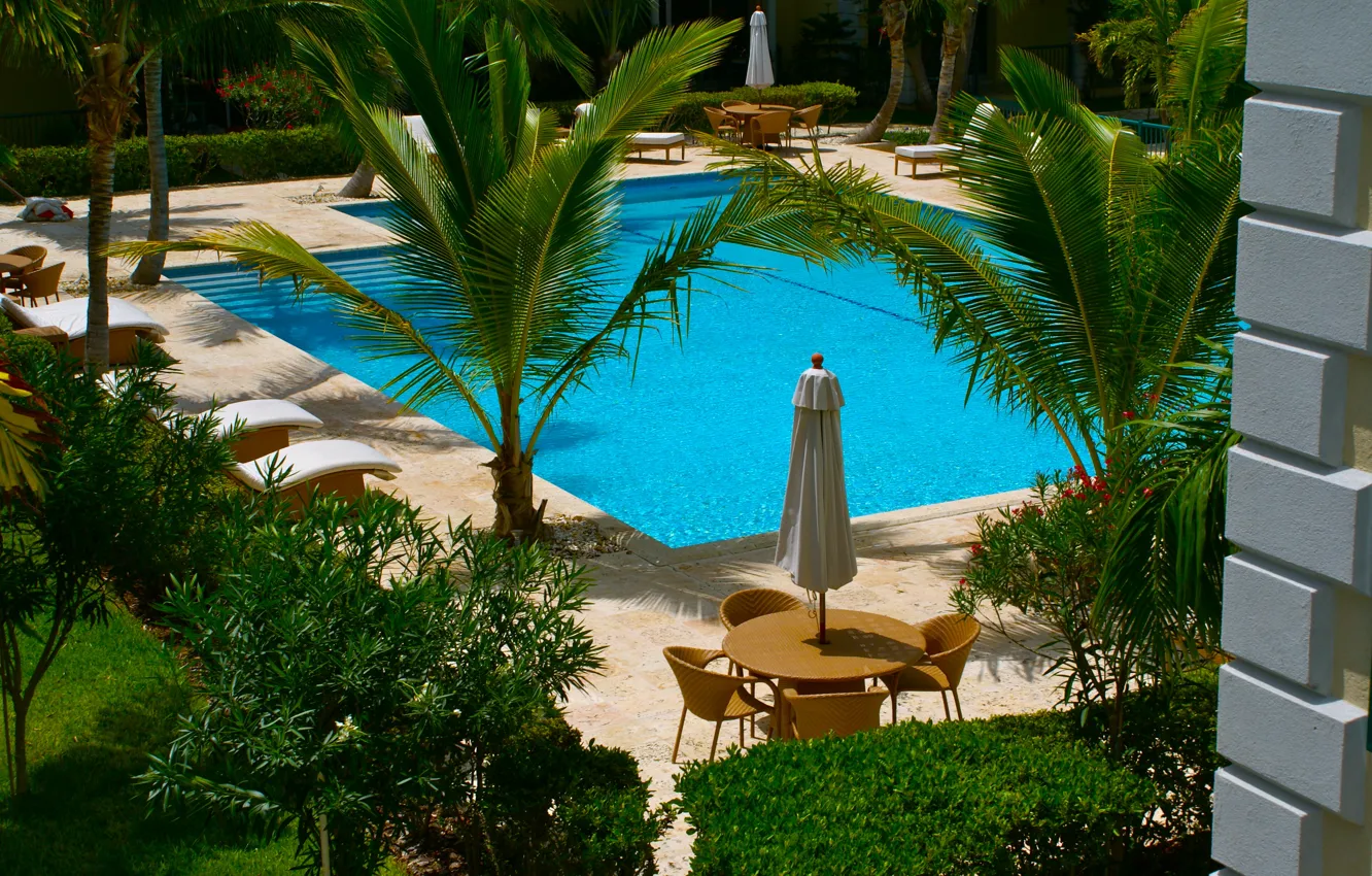 Photo wallpaper palm trees, pool, chairs, pool, sunbeds, tables., exterior