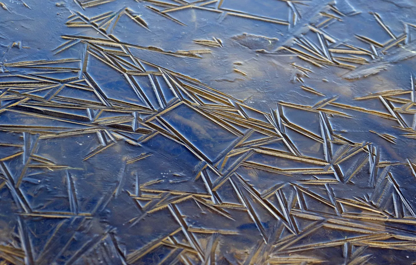 Photo wallpaper ice, nature, pond, pattern