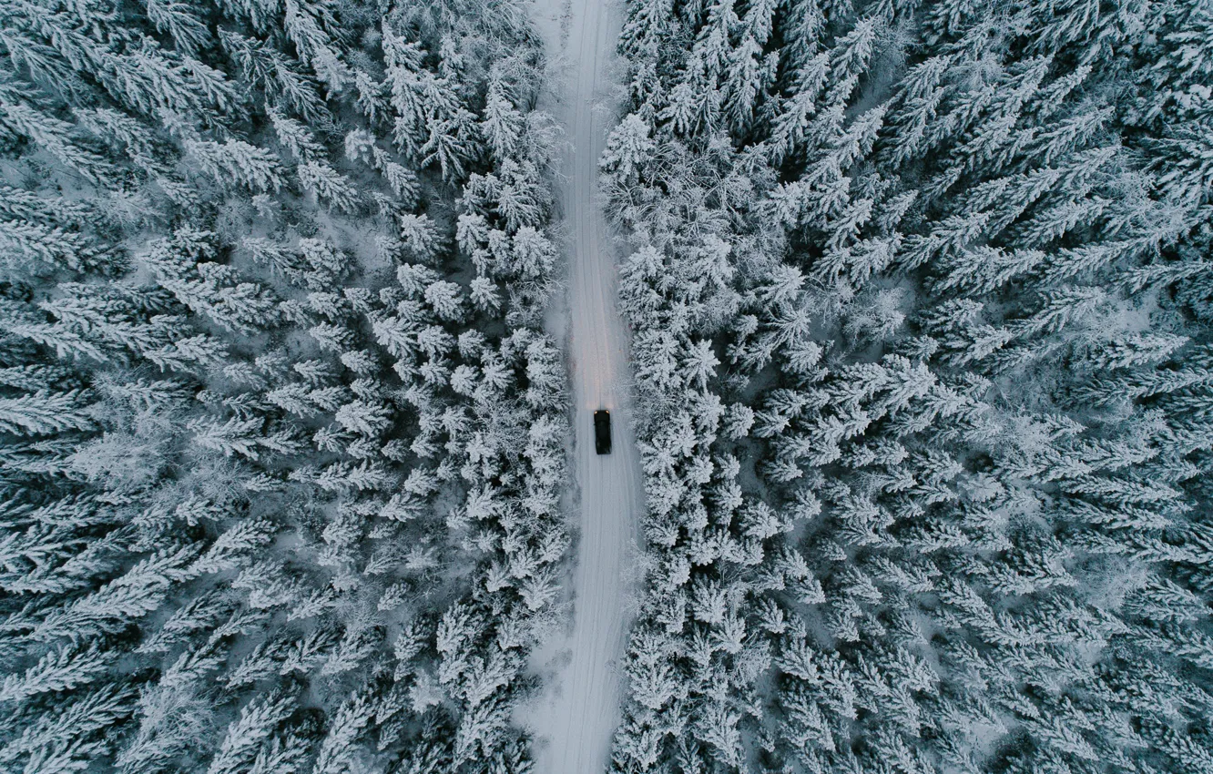 Photo wallpaper winter, road, machine, forest, snow, trees, nature, the view from the top