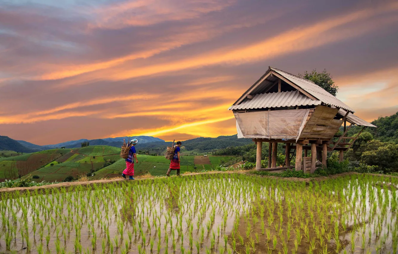 Photo wallpaper hills, woman, people, home, Thailand, figure, Thailand, highlands
