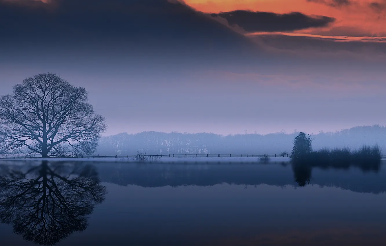 Photo wallpaper water, clouds, trees, reflection, crown, outro