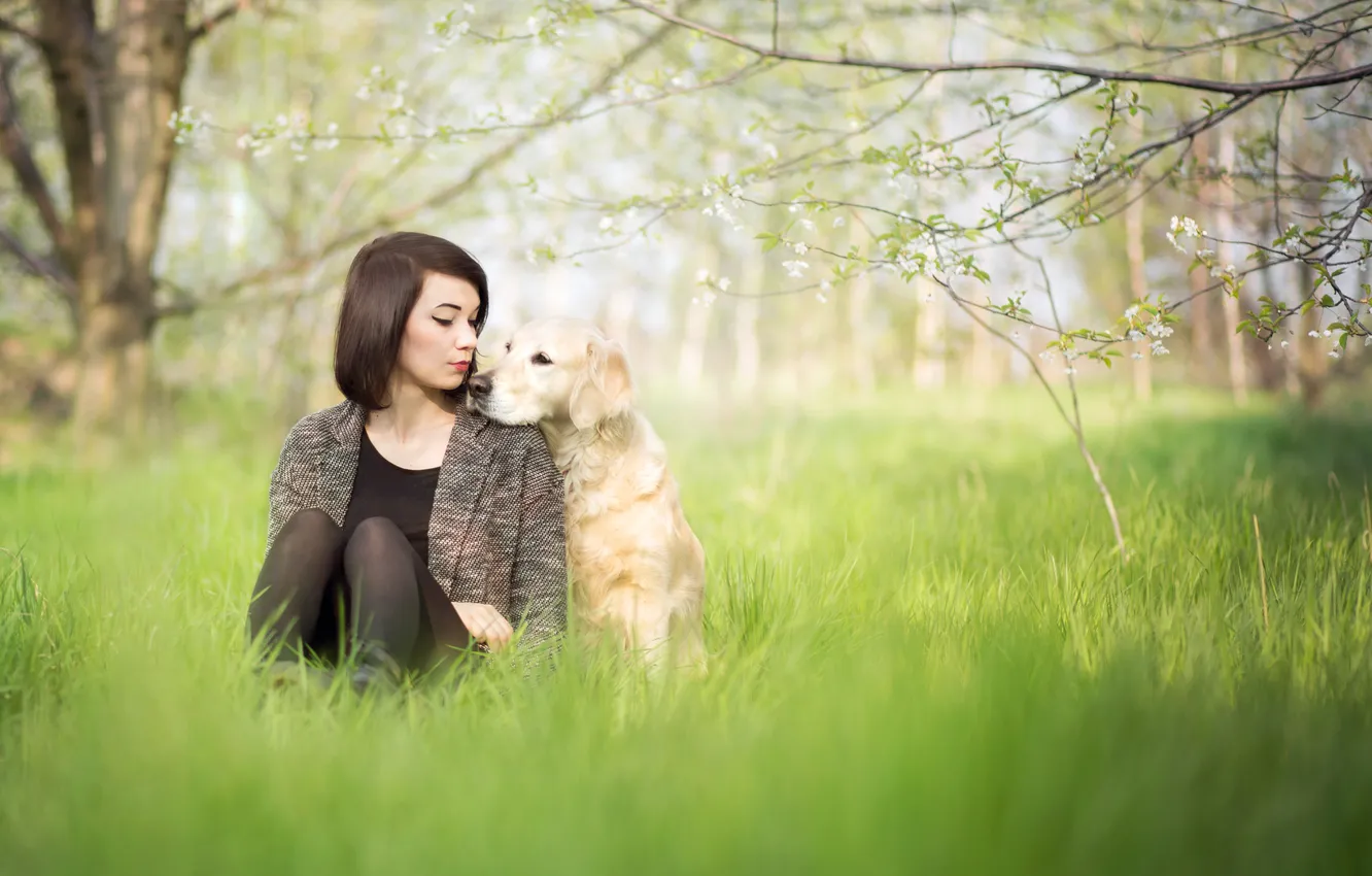 Photo wallpaper girl, mood, dog