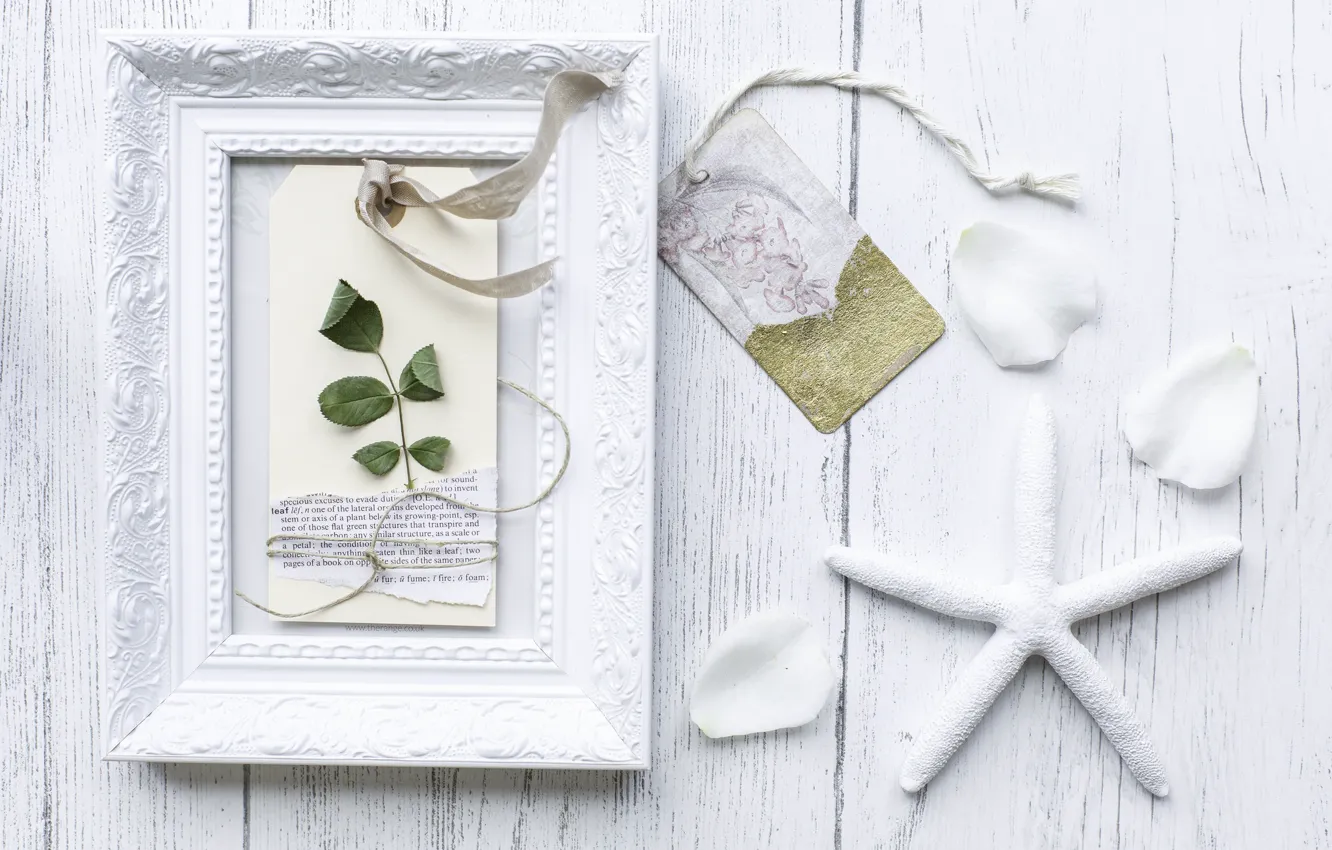 Photo wallpaper white, stars, leaf, frame, petals