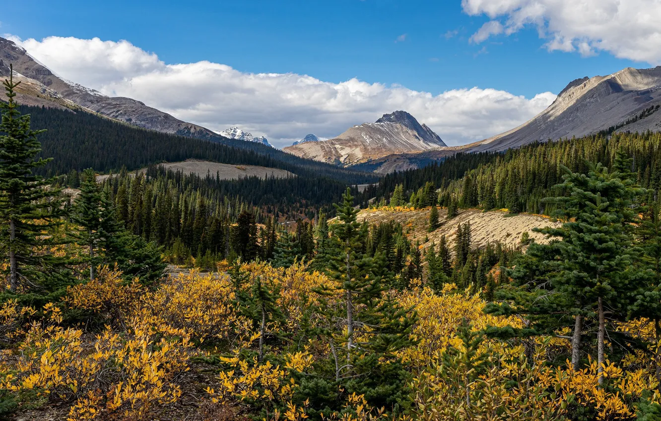 Photo wallpaper autumn, forest, clouds, mountains, blue, vegetation, tops, view