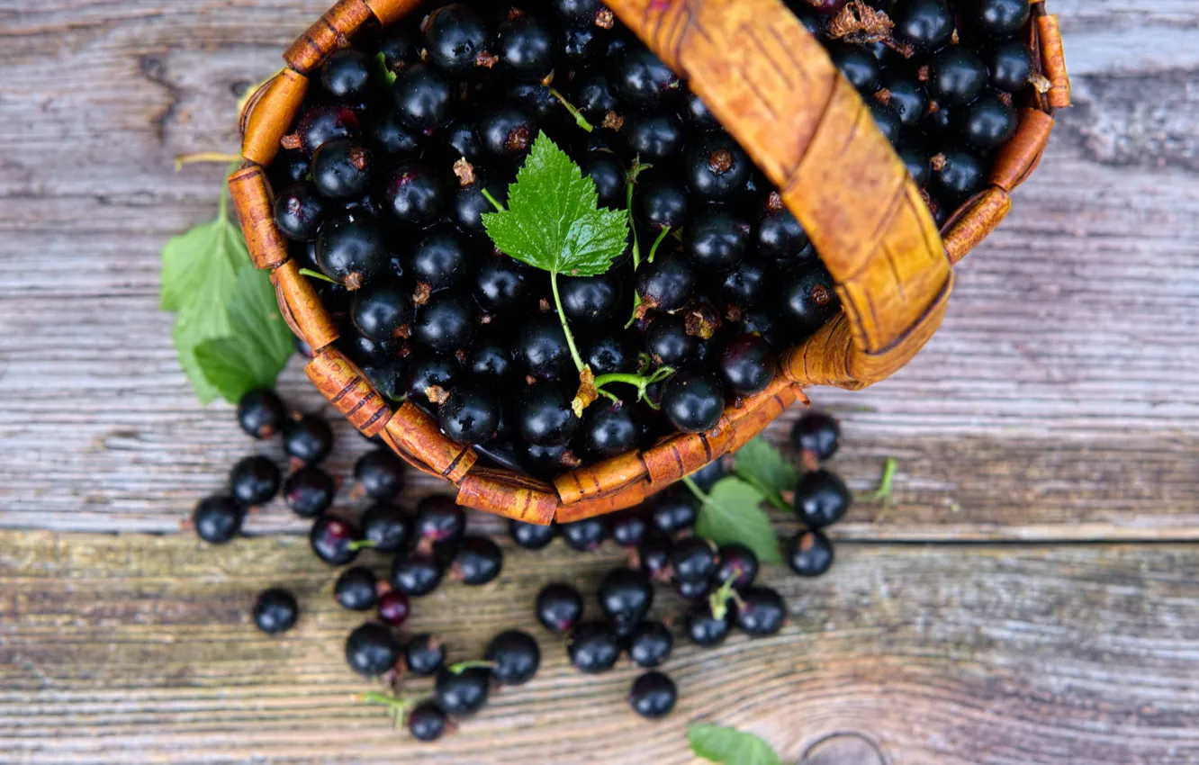 Photo wallpaper berries, basket, currants, basket, black currant