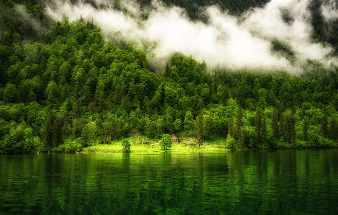 Photo wallpaper green, colorful, house, forest, trees, landscape, nature, water