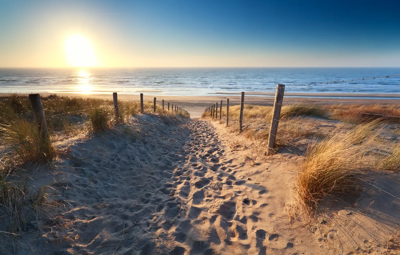 Photo wallpaper beach, sunset, sand, footsteps