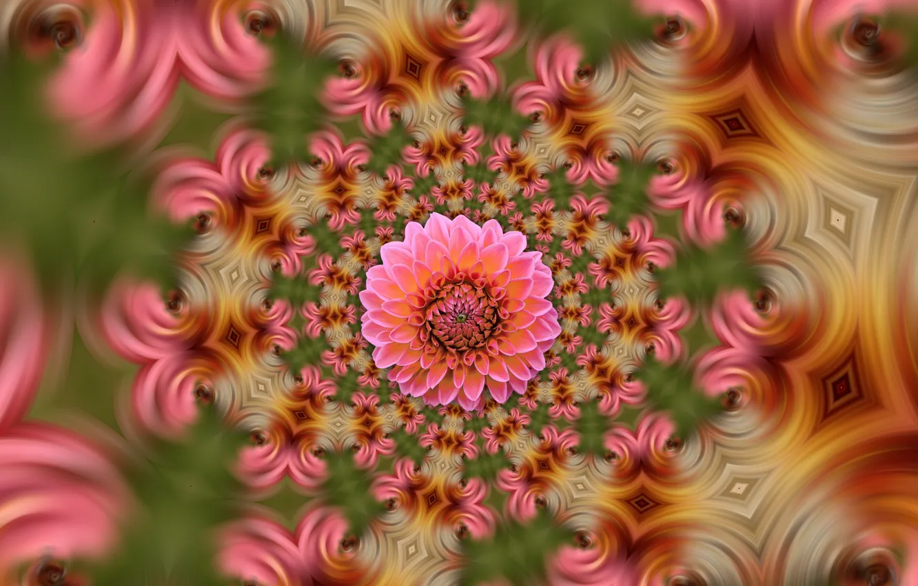 Photo wallpaper flowers, structure, texture