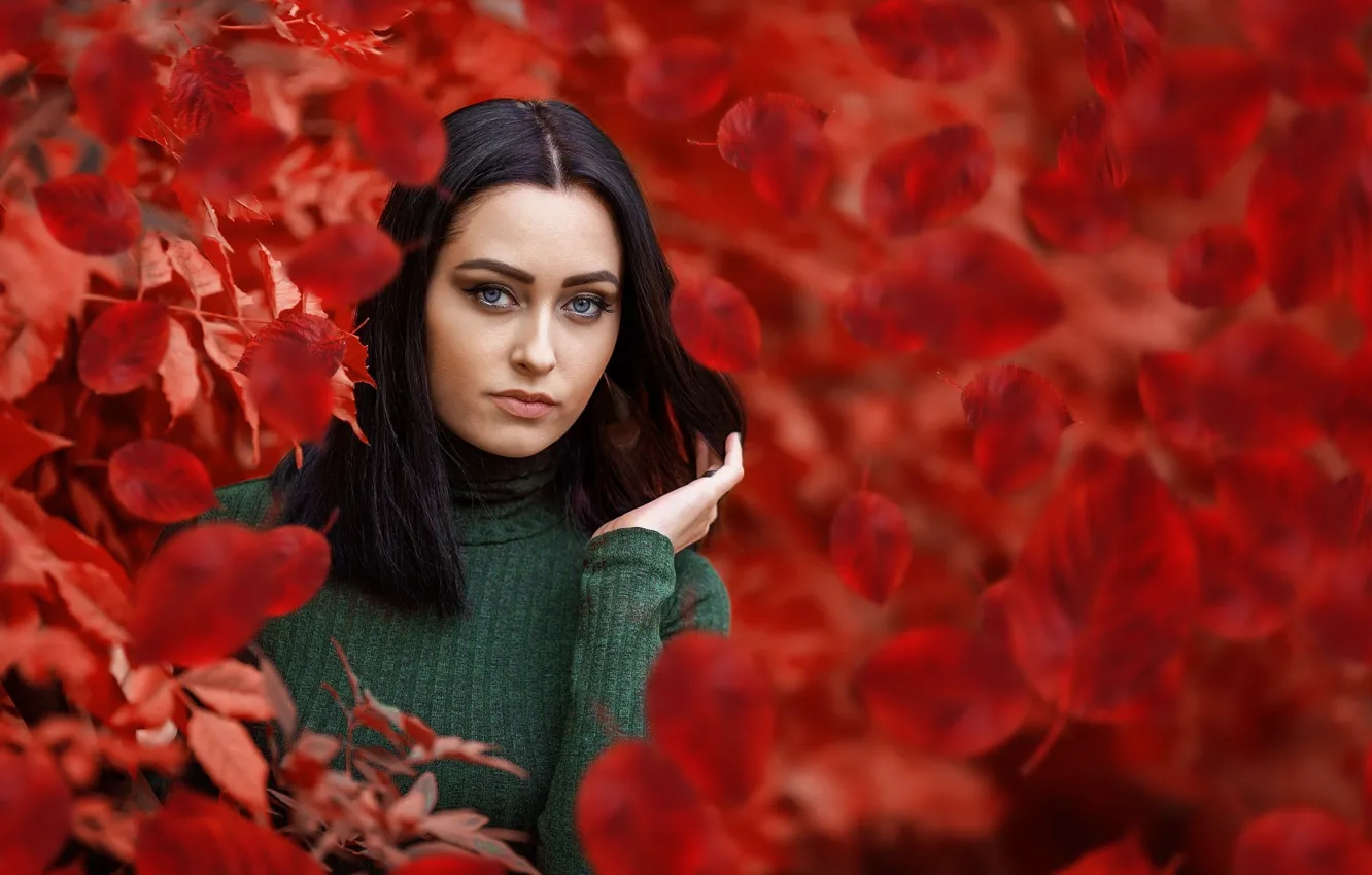 Photo wallpaper leaves, branches, model, portrait, makeup, brunette, hairstyle, red