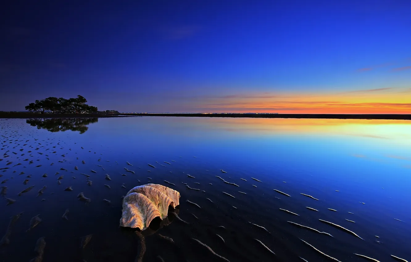 Photo wallpaper sea, water, trees, landscape, nature, photo, the ocean