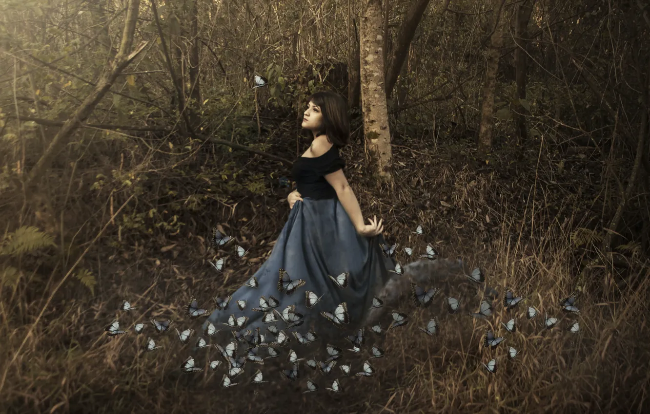 Photo wallpaper forest, girl, butterfly, the situation