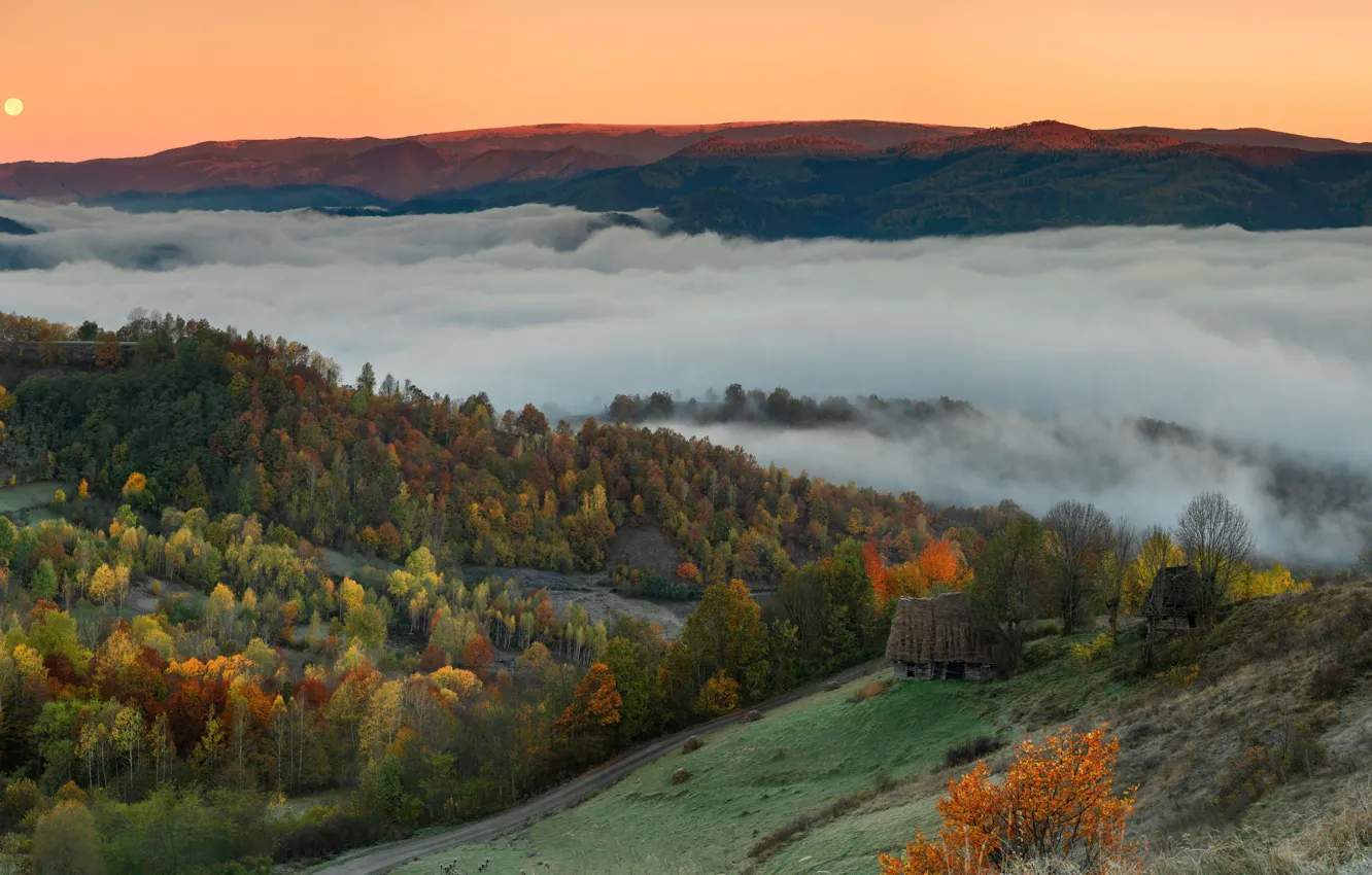 Photo wallpaper autumn, fog, valley