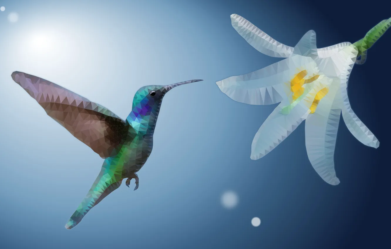 Photo wallpaper flower, Hummingbird, tail, low poly, exotic, ave