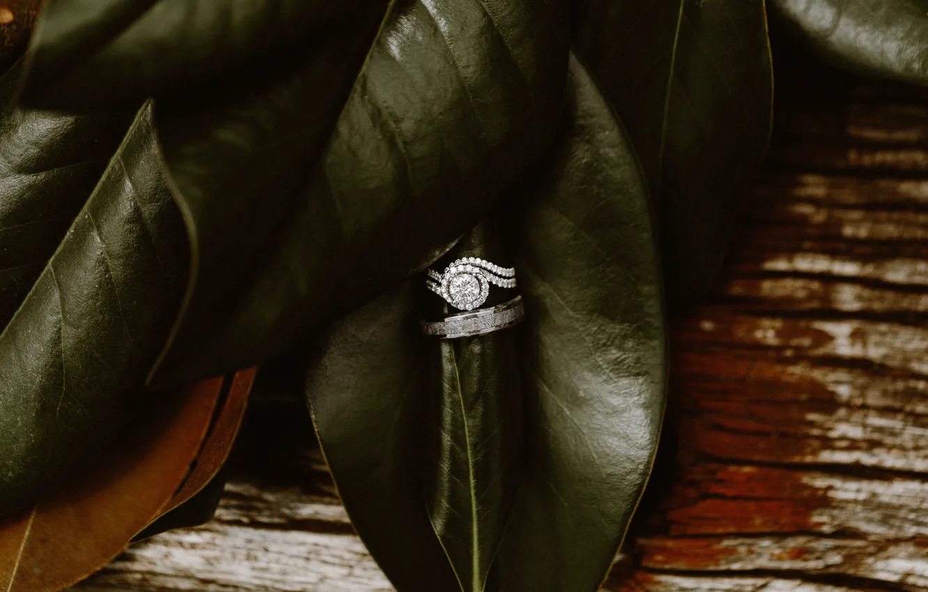 Photo wallpaper leaves, stones, ring, wedding, engagement