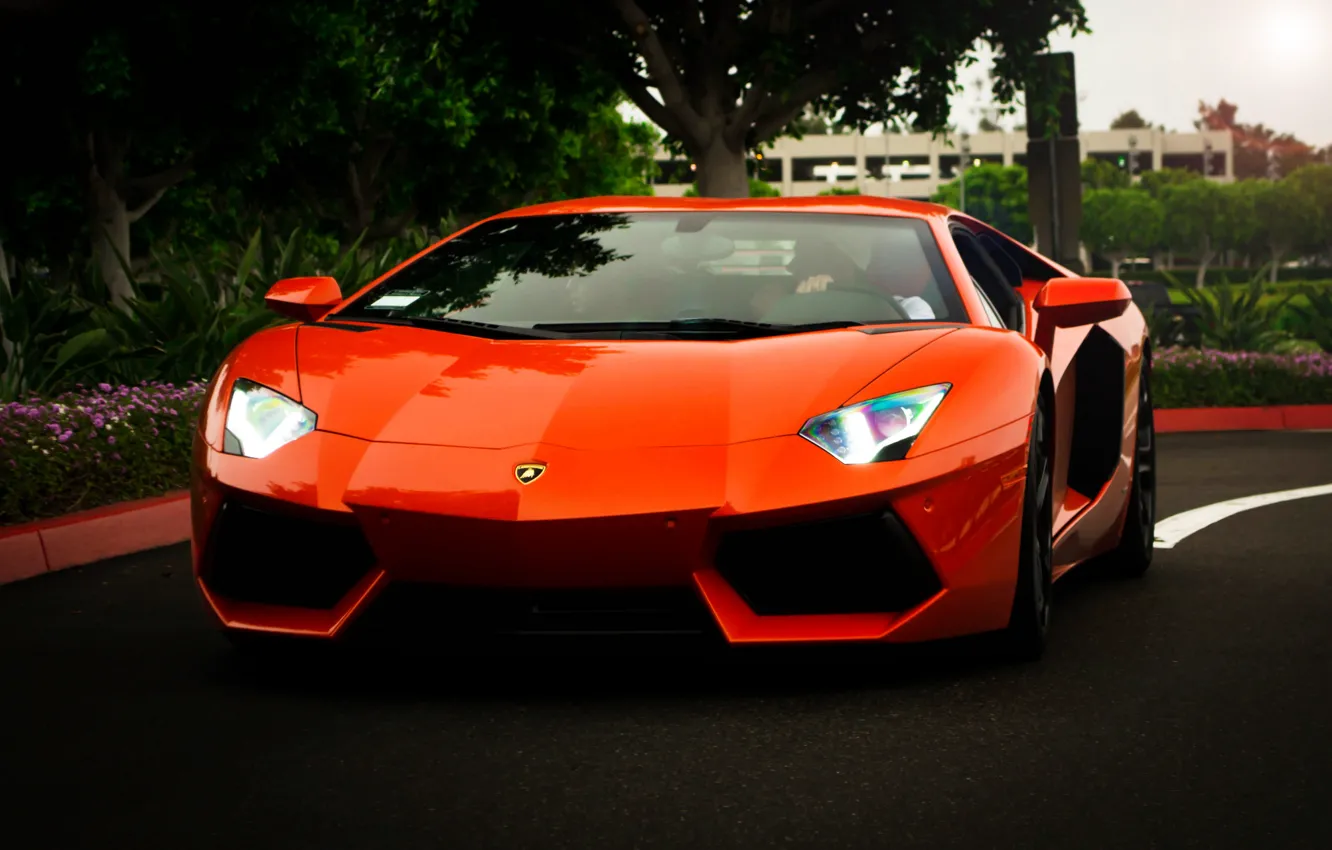 Photo wallpaper trees, orange, reflection, lamborghini, the front, orange, headlights, aventador