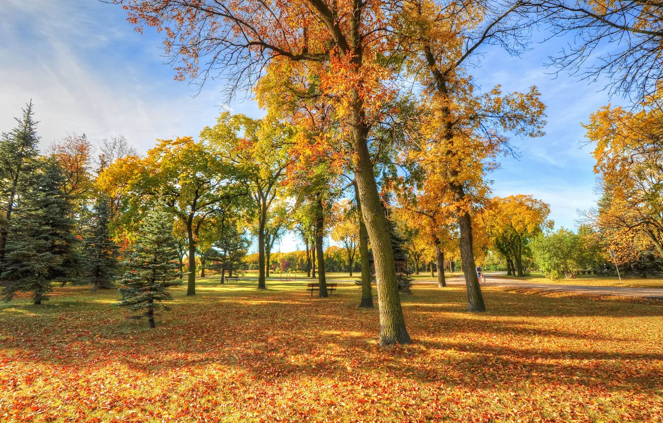 Photo wallpaper autumn, the sky, grass, leaves, trees, Park, bench