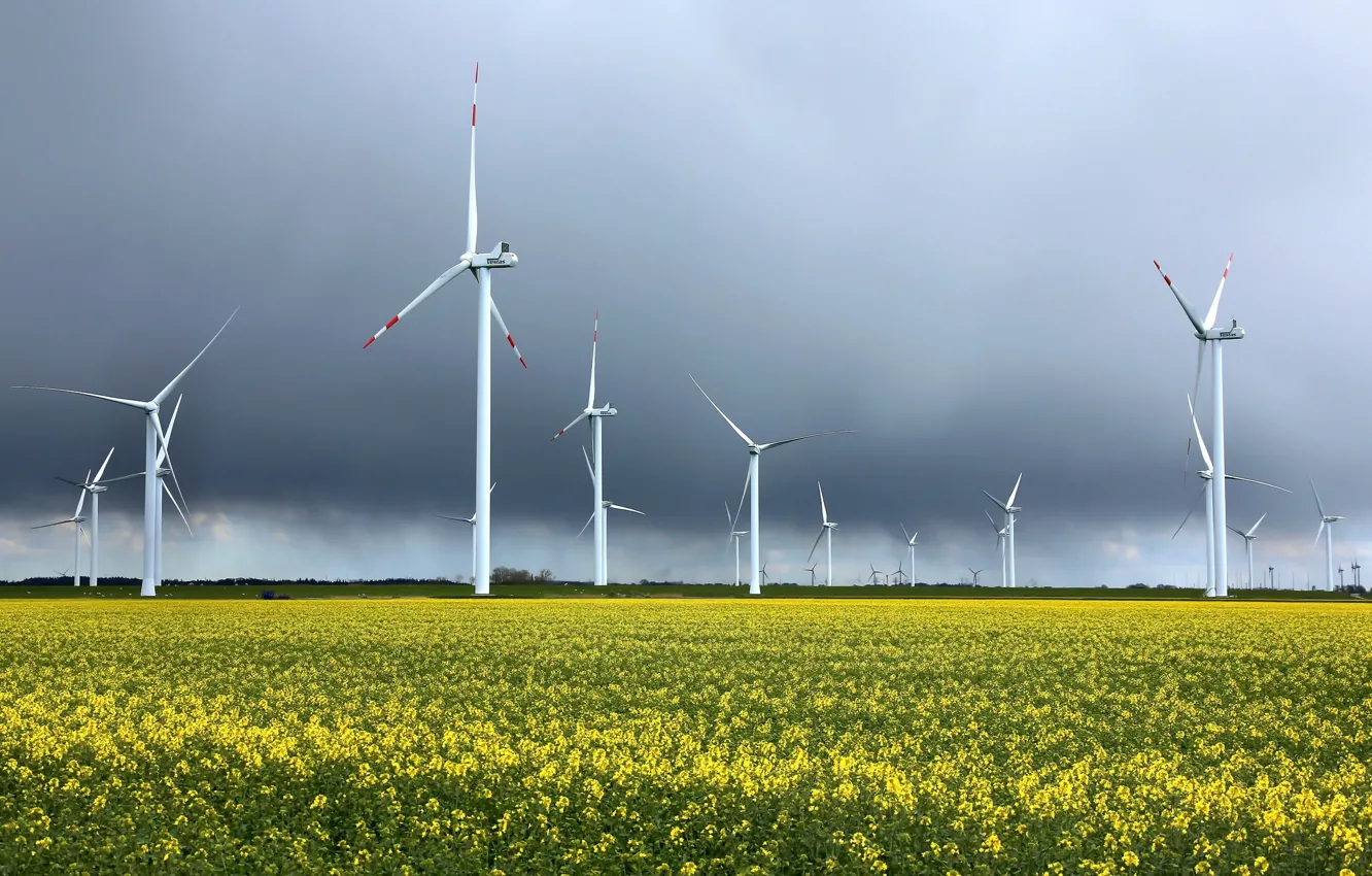 Photo wallpaper field, the sky, windmills, rape