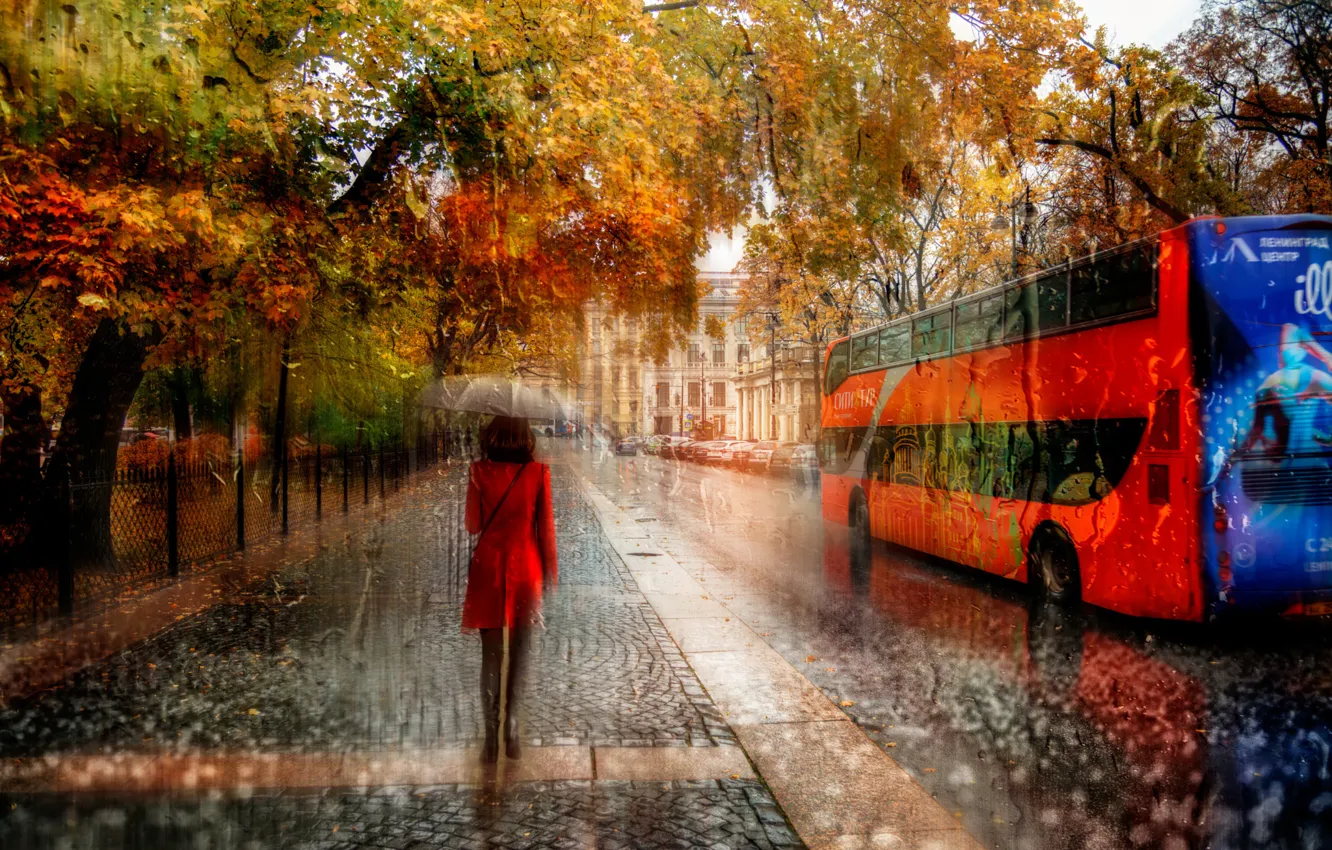 Photo wallpaper autumn, girl, rain, Saint Petersburg, October