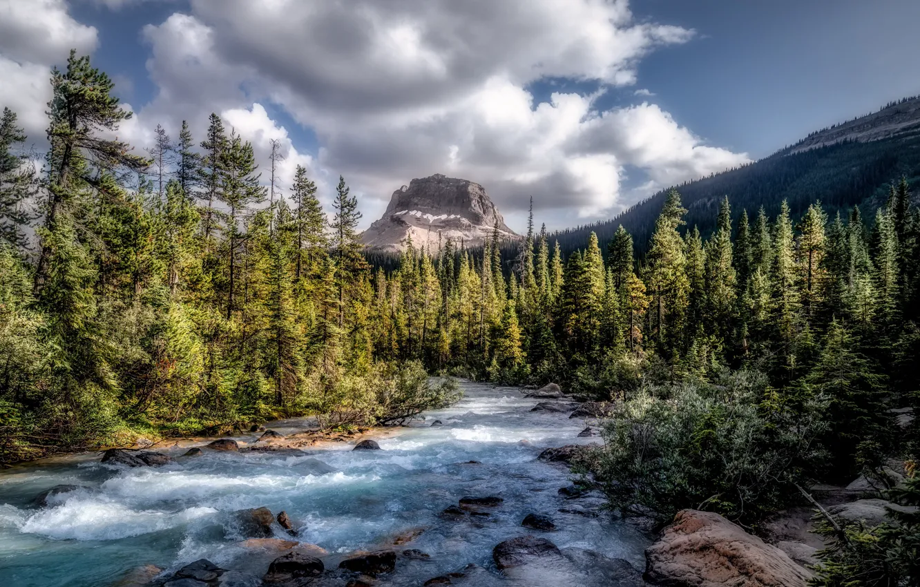 Photo wallpaper forest, Canada, river, sky, trees, nature, water, mountains