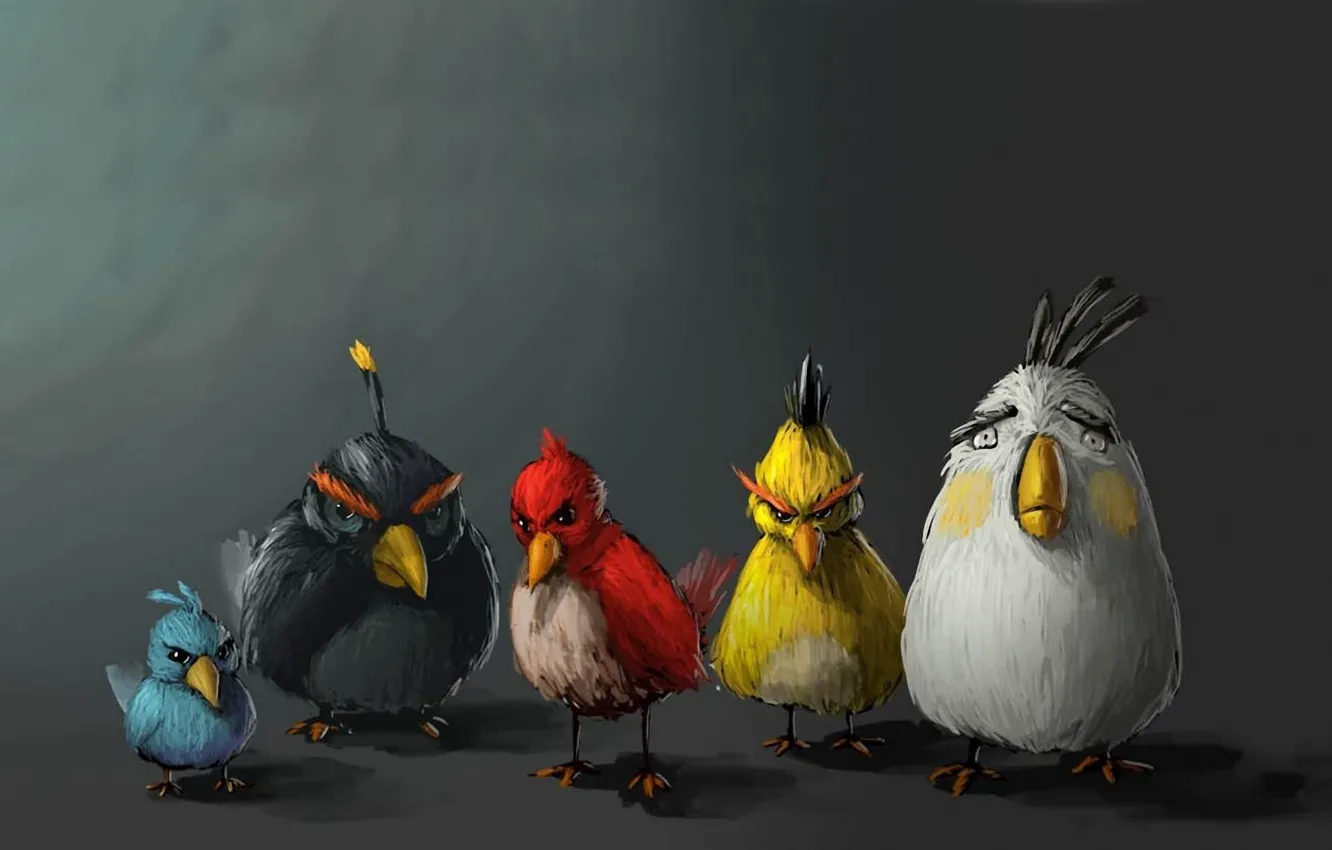 Photo wallpaper birds, minimalism, birds, angry