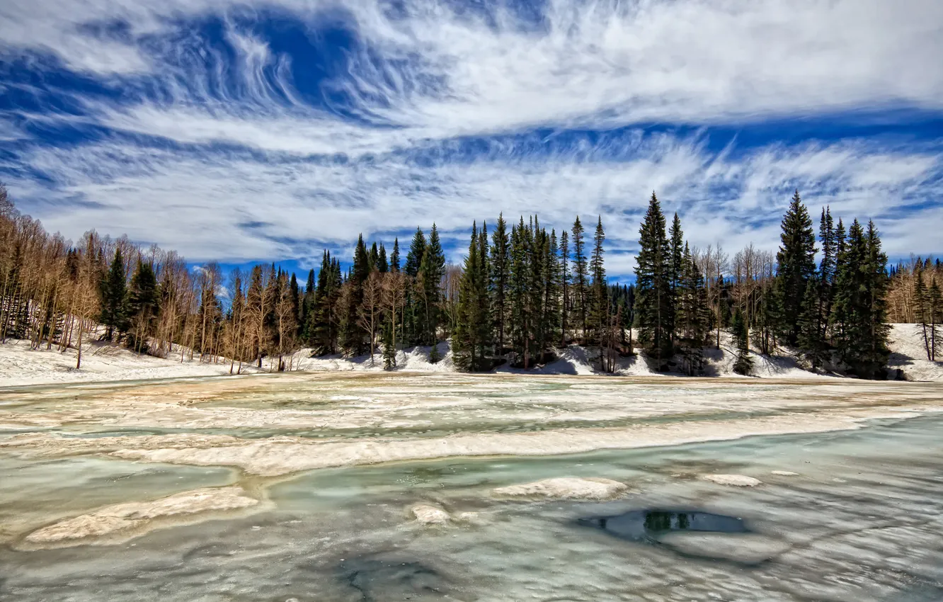 Photo wallpaper winter, forest, clouds, spring, across ice of dog lake