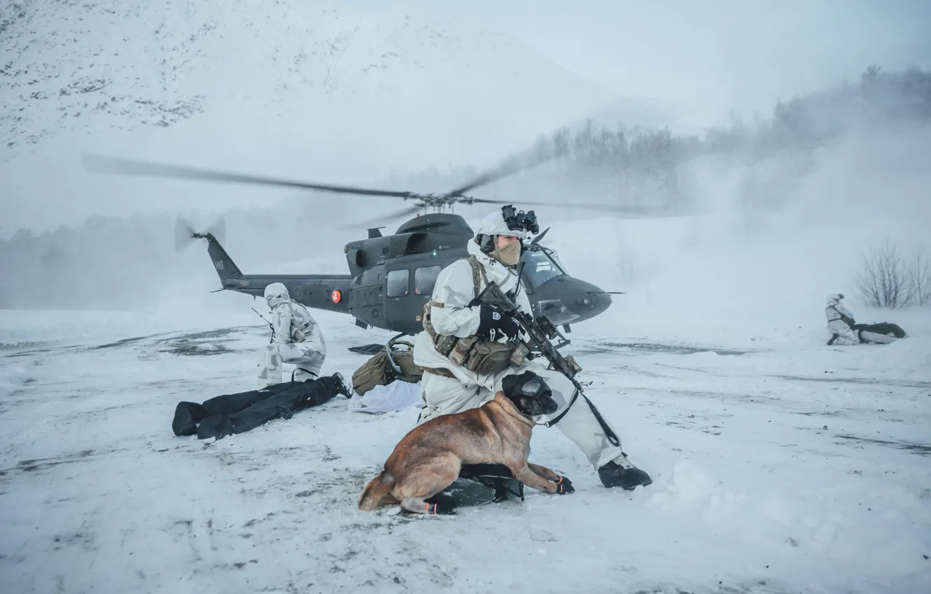 Photo wallpaper Winter, Dog, Snow, Helicopter, Shepherd, Soldiers, Exercises, Northern Norway