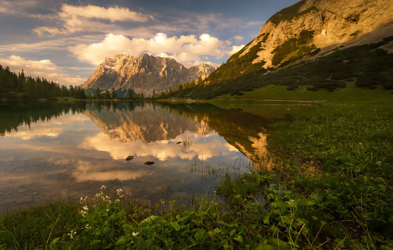 Photo wallpaper greens, forest, summer, the sky, grass, leaves, clouds, mountains