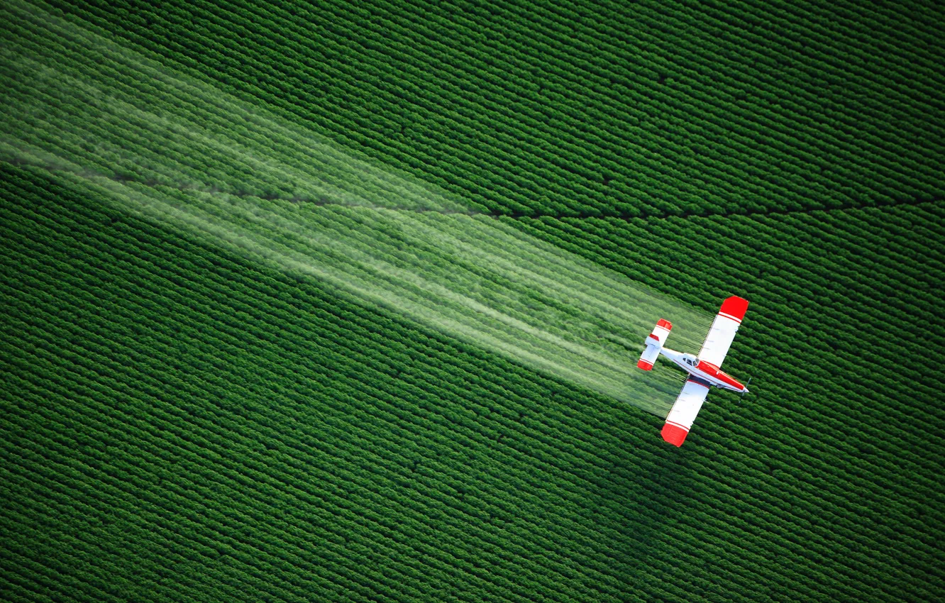 Photo wallpaper Verde, avion, plantacion