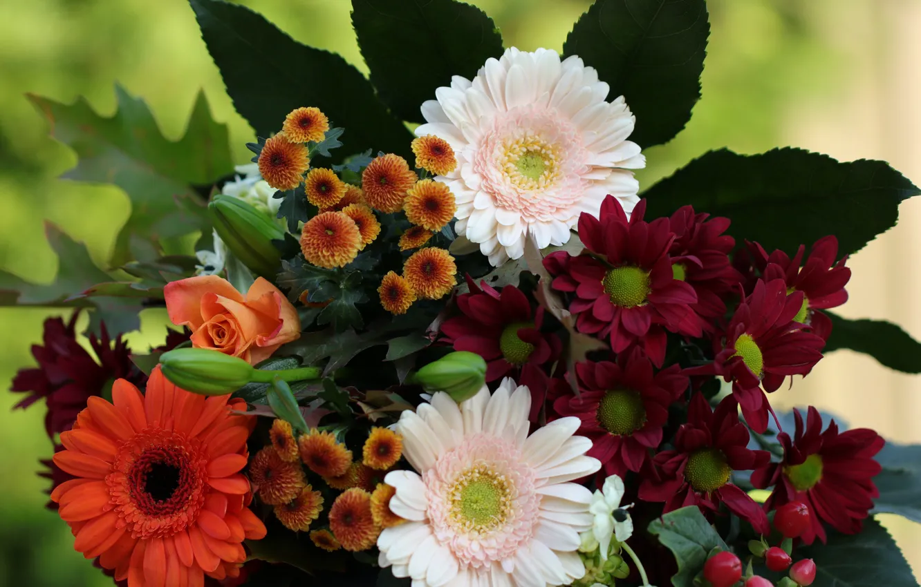 Photo wallpaper leaves, flowers, orange, red, roses, bouquet, white, gerbera