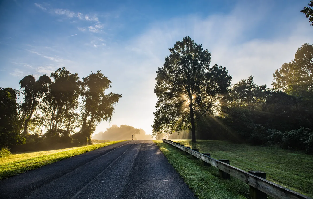 Photo wallpaper road, summer, fog, morning