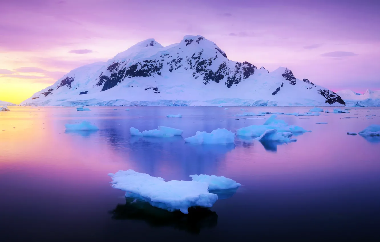 Photo wallpaper ice, water, mountain, 2022, Antarctica Day, Paradise Harbor, Paradise Harbour, Antarctica Day