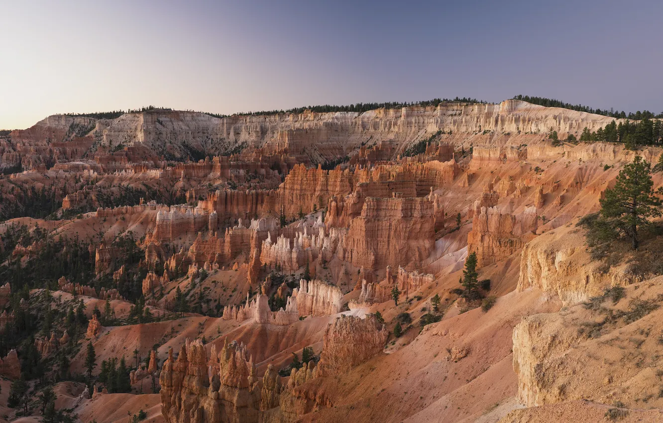 Photo wallpaper trees, nature, rocks, canyon, USA