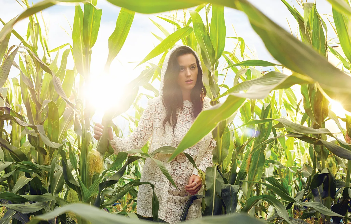 Photo wallpaper field, corn, Katy Perry