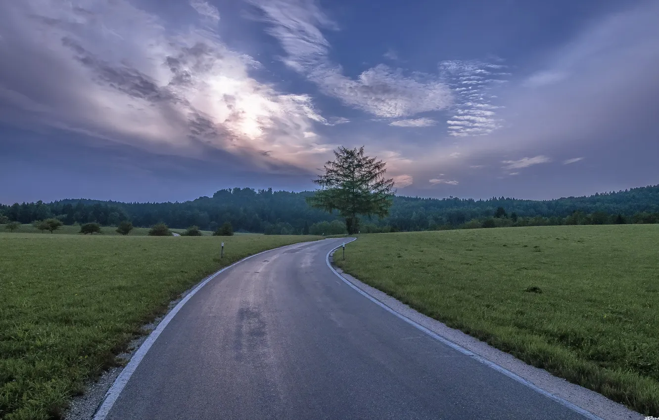 Photo wallpaper road, field, landscape