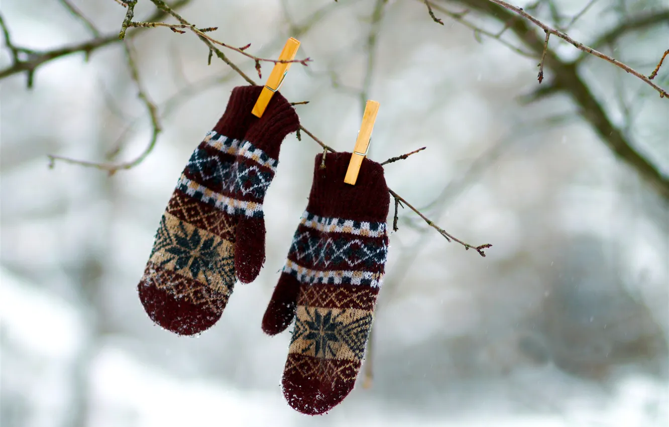 Photo wallpaper winter, macro, snow, branches, clothespins, mittens, gloves