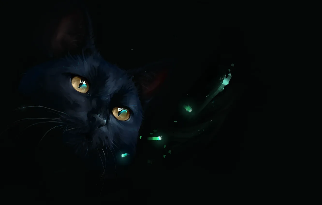 Photo wallpaper lights, black cat, by SalamanDra-S