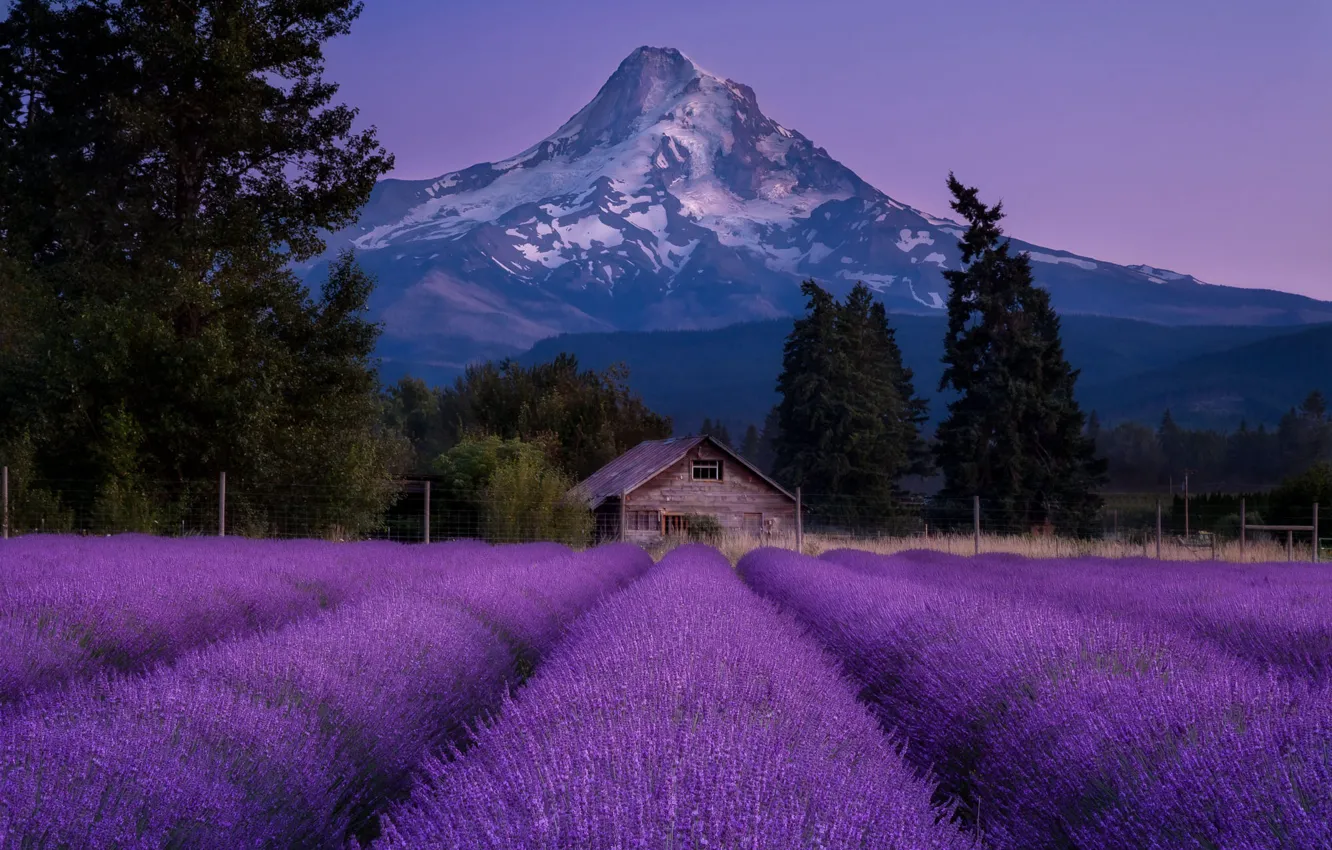 Photo wallpaper field, trees, landscape, mountains, nature, home, the evening, USA