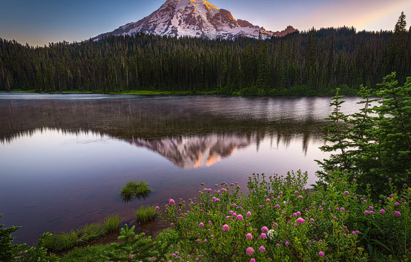 Photo wallpaper forest, snow, flowers, mountains, reflection, shore, ate, the bushes